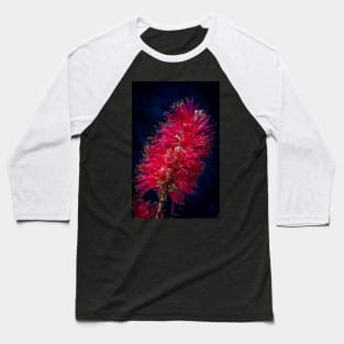 Bottlebrush, Australian Native Plant, Victoria, Australia Baseball T-Shirt